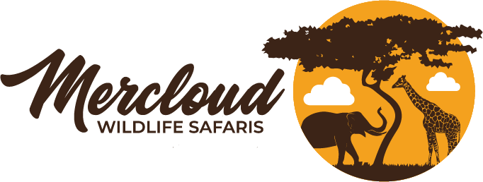 Mercloud Wildlife Safaris