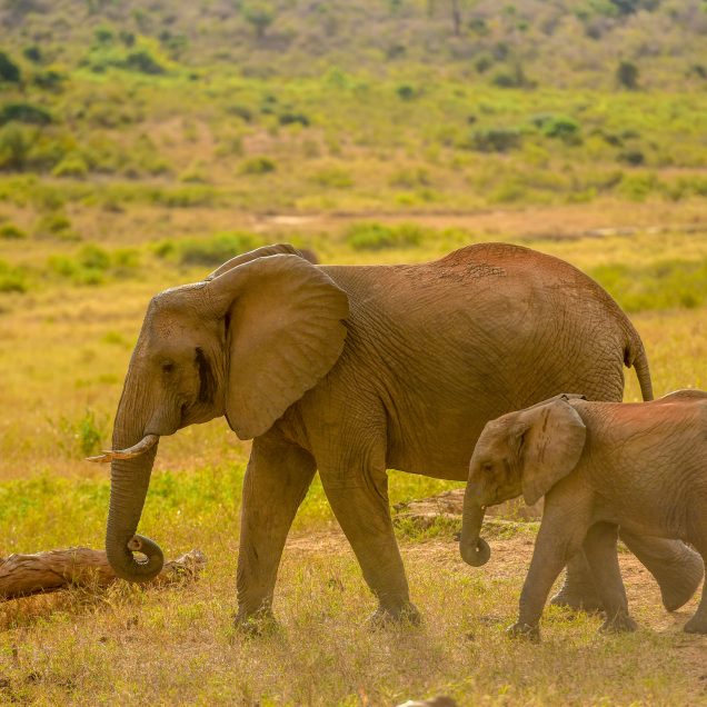 Tanzania